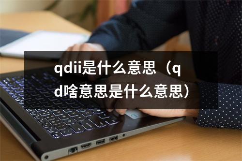 qdii是什么意思（qd啥意思是什么意思）