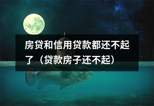 房贷和信用贷款都还不起了（贷款房子还不起）