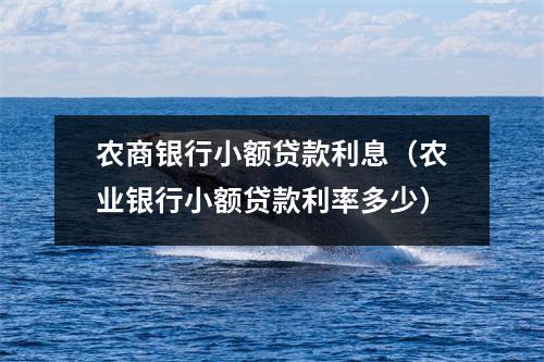 农商银行小额贷款利息(农业银行小额贷款利率多少)
