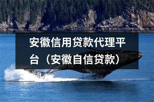 安徽信用贷款代理平台（安徽自信贷款）