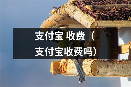 支付宝 收费（支付宝收费吗）