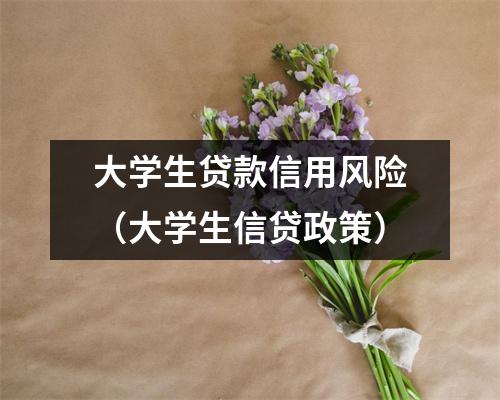 大学生贷款信用风险（大学生信贷政策）