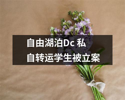 自由湖泊Dc 私自转运学生被立案