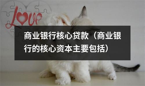 商业银行核心贷款（商业银行的核心资本主要包括）