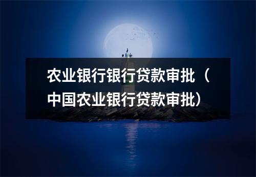 农业银行银行贷款审批（中国农业银行贷款审批）