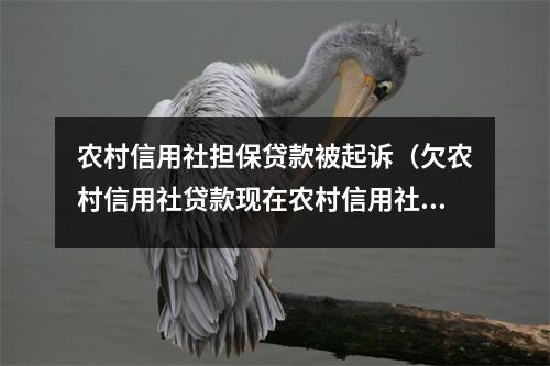 农村信用社担保贷款被起诉（欠农村信用社贷款现在农村信用社起诉）