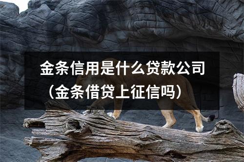 金条信用是什么贷款公司(金条借贷上征信吗)