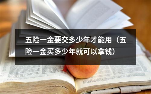 五险一金要交多少年才能用（五险一金买多少年就可以拿钱）