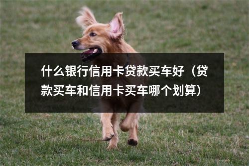 什么银行信用卡贷款买车好（贷款买车和信用卡买车哪个划算）