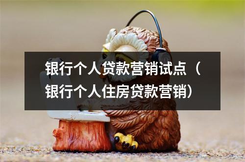 银行个人贷款营销试点(银行个人住房贷款营销)