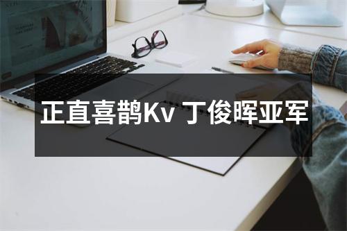 正直喜鹊Kv 丁俊晖亚军
