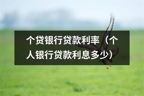 个贷银行贷款利率（个人银行贷款利息多少）