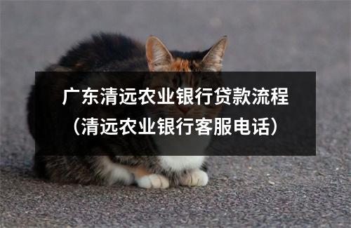 广东清远农业银行贷款流程（清远农业银行客服电话）