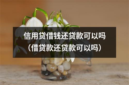 信用贷借钱还贷款可以吗（借贷款还贷款可以吗）