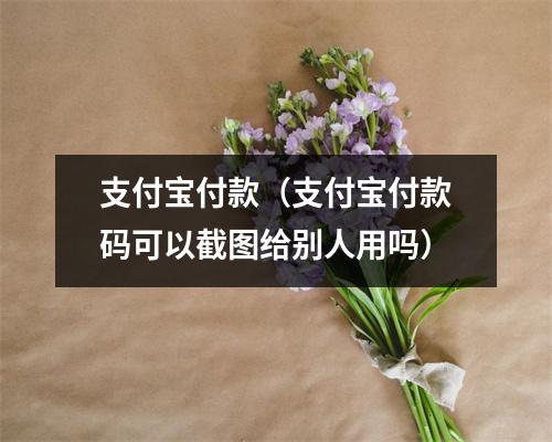 支付宝付款（支付宝付款码可以截图给别人用吗）
