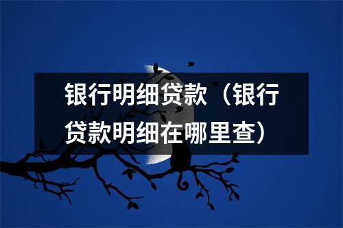 银行明细贷款（银行贷款明细在哪里查）