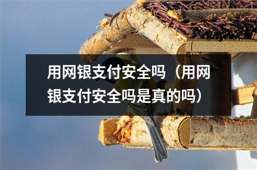 用网银支付安全吗（用网银支付安全吗是真的吗）