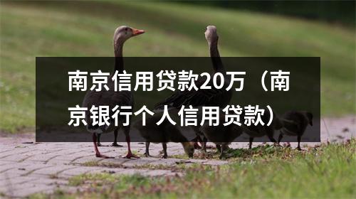 南京信用贷款20万(南京银行个人信用贷款)
