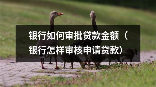 银行如何审批贷款金额（银行怎样审核申请贷款）