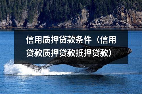信用质押贷款条件（信用贷款质押贷款抵押贷款）