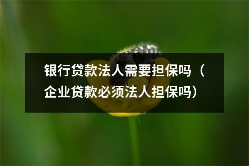 银行贷款法人需要担保吗（企业贷款必须法人担保吗）