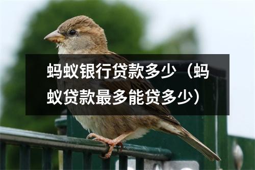 蚂蚁银行贷款多少（蚂蚁贷款最多能贷多少）