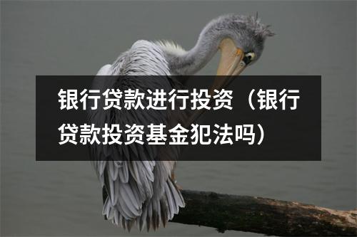 银行贷款进行投资（银行贷款投资基金犯法吗）