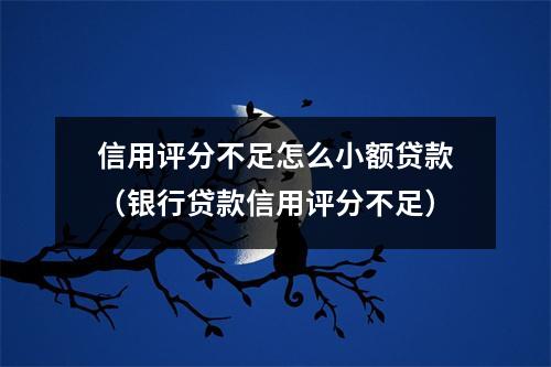 信用评分不足怎么小额贷款（银行贷款信用评分不足）
