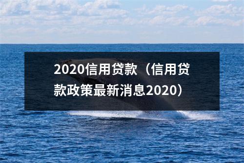 2020信用贷款（信用贷款政策最新消息2020）
