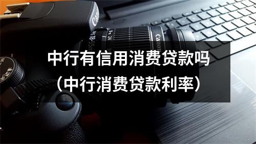 中行有信用消费贷款吗（中行消费贷款利率）