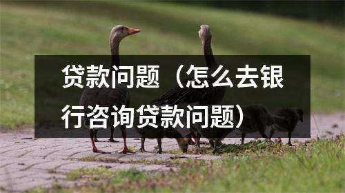 贷款问题（怎么去银行咨询贷款问题）