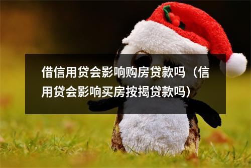借信用贷会影响购房贷款吗（信用贷会影响买房按揭贷款吗）