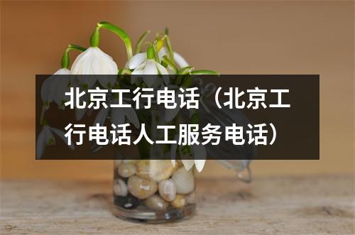 北京工行电话（北京工行电话人工服务电话）