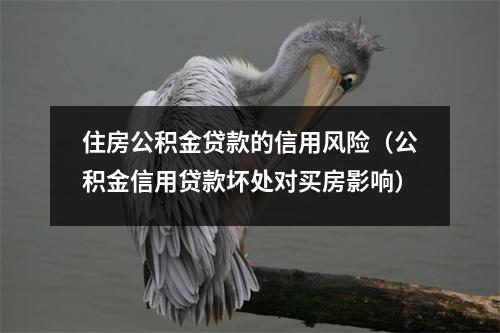 住房公积金贷款的信用风险（公积金信用贷款坏处对买房影响）