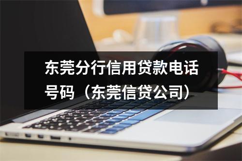 东莞分行信用贷款电话号码(东莞信贷公司)