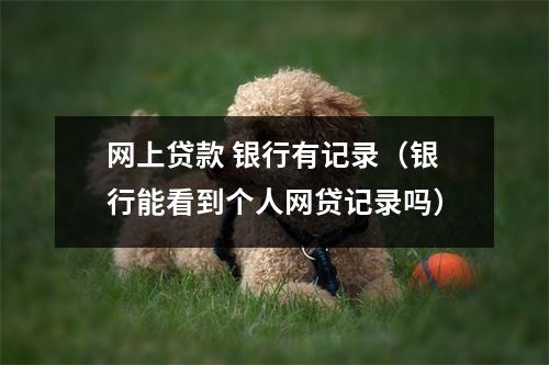 网上贷款 银行有记录（银行能看到个人网贷记录吗）
