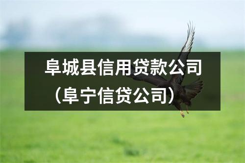 阜城县信用贷款公司（阜宁信贷公司）