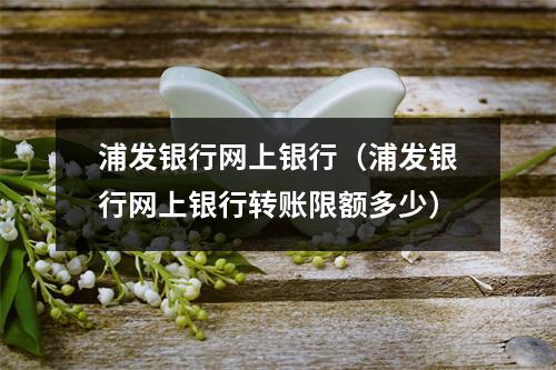 浦发银行网上银行（浦发银行网上银行转账限额多少）