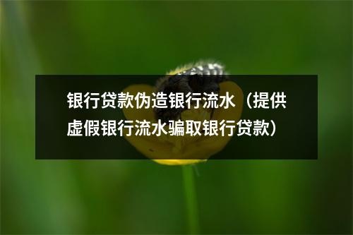 银行贷款伪造银行流水（提供虚假银行流水骗取银行贷款）