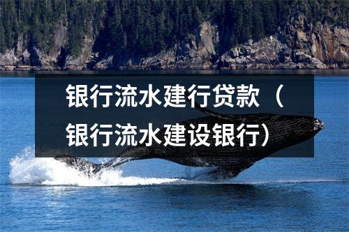 银行流水建行贷款（银行流水建设银行）