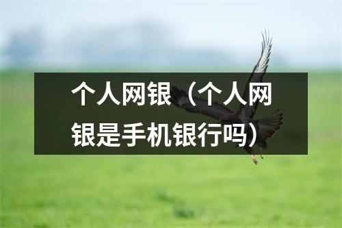 个人网银(个人网银是手机银行吗)