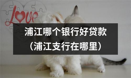 浦江哪个银行好贷款(浦江支行在哪里)