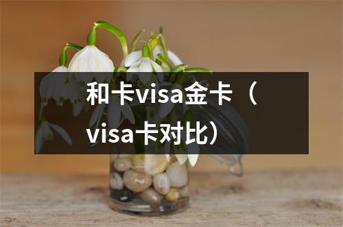 和卡visa金卡（visa卡对比）