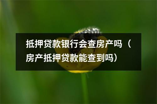 抵押贷款银行会查房产吗（房产抵押贷款能查到吗）