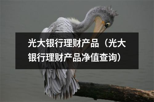 光大银行理财产品（光大银行理财产品净值查询）