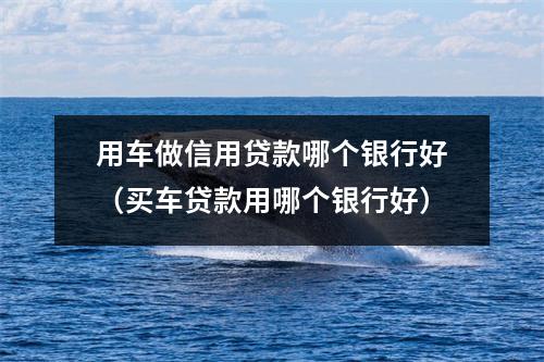 用车做信用贷款哪个银行好（买车贷款用哪个银行好）