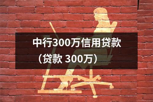 中行300万信用贷款（贷款 300万）