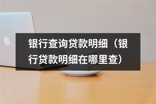 银行查询贷款明细（银行贷款明细在哪里查）