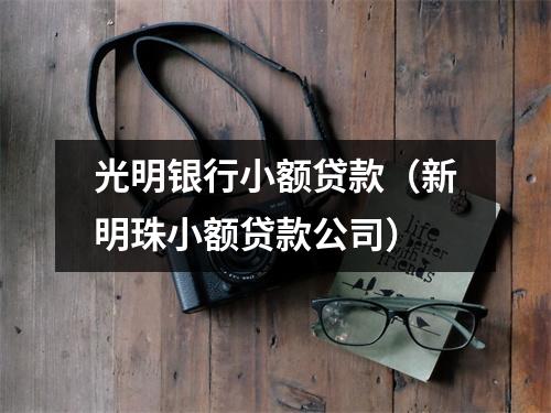 光明银行小额贷款（新明珠小额贷款公司）