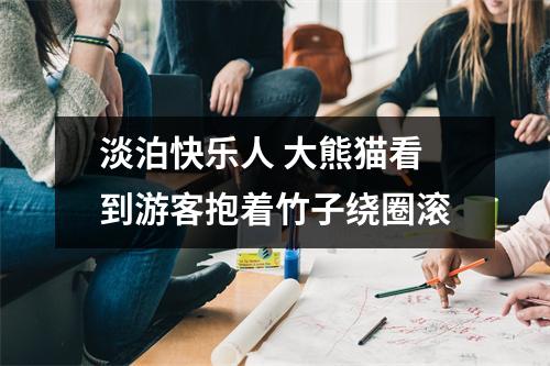 淡泊快乐人 大熊猫看到游客抱着竹子绕圈滚